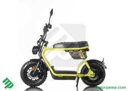 kl Piper colroe giallo  (5)